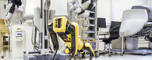 Der Bachelorstudiengang Medizin-, Gesundheits- & Sporttechnologie am MCI beschäftigt sich mit den neuesten Robotern. ©MCI_Geisler