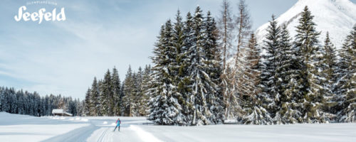 Langlaufen in Wildmoos © Olympiaregion Seefeld