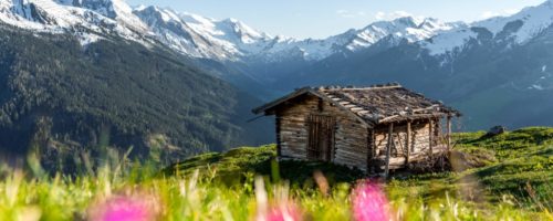 Egal ob bei einer gemütlichen Frühlingswanderung oder bei einem ausgedehnten Spaziergang – im Zillertal kommen nicht nur Mamas voll auf ihre Kosten. © Zillertal Tourismus / Thomas Pfister