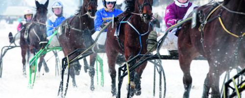 Ein Spektakel der besonderen Art ist das Neujahrs-Pferderennen in Mayrhofen am 1. Jänner 2023. © Zillertal Tourismus / Blickfang Fotographie