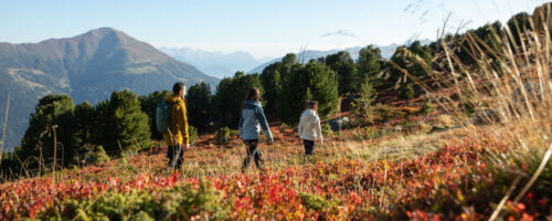 So bunt und vielfältig wie die Farben der Natur sind auch die Veranstaltungen, die im Rahmen des Genussherbstes in Serfaus-Fiss-Ladis stattfinden.  © Serfaus-Fiss-Ladis Marketing GmbH, Andreas Kirschner