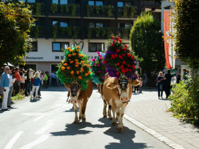 Almabtrieb im Brixental