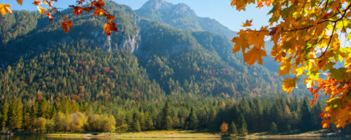 Eintauchen in die Magie des goldenen Herbstes am Pillersee: Farbenfrohes Blätterspiel und sanfte Herbststimmung verzaubern die Sinne. © Petra Astner