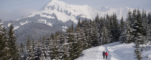 Unberührte Natur und ein atemberaubendes Bergpanorama findet man bei der Winterwanderung zur Ehenbichler Alm. © Tirol Werbung, Jörg Koopmann