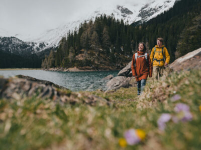 Bergfrühling im Wipptal – Naturerwachen zwischen Schneeresten und Blumenmeer