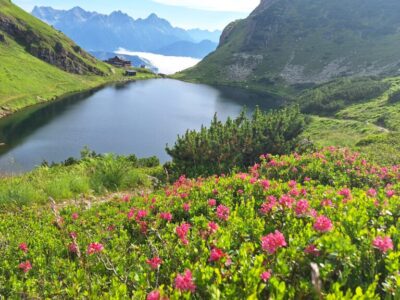 Pillerseetal: Mehr Pink als in jedem Sonnenuntergang