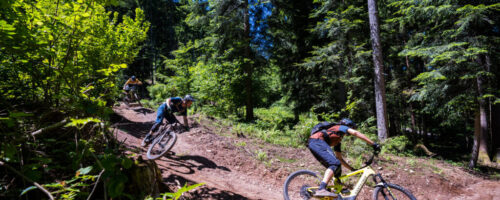 Bikespaß in Österreichs größte Bike-Region Saalbach Hinterglemm Leogang Fieberbrunn © Bergstolz