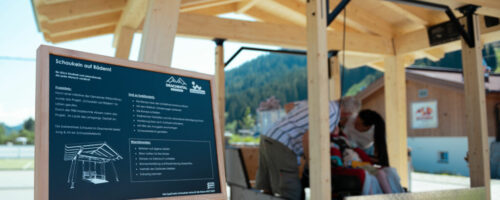Die neue Rollstuhlschaukel in der Wildschönau / Copyright Wildschönau Tourismus Niek Belder