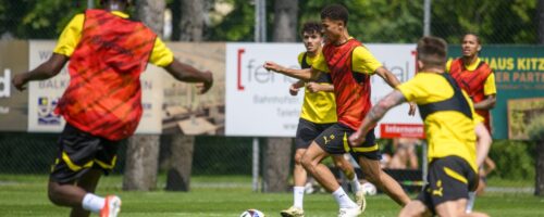 © Borussia Dortmund GmbH & Co. KGaA