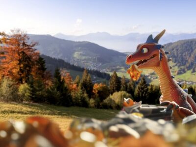 TAL Herbst Wildschönau 2025: Kulinarik und Tradition im Hochtal
