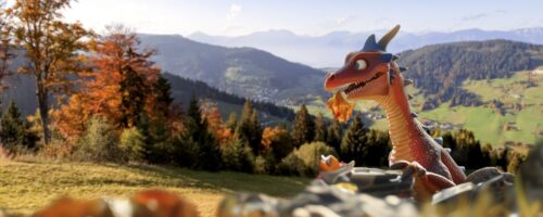 Copyright Wildschönau Tourismus