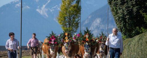 Beim Almabtrieb sind Zenzi, Resi und ihre Freundinnen absolute Hingucker. © Gabriele Grießenböck