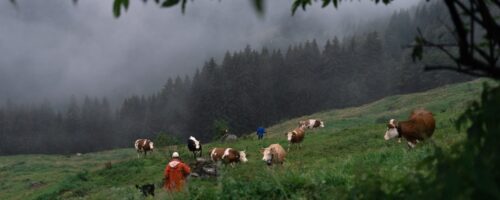 Noch bis Ende August wird Eklipse gedreht. © Victor Koessl