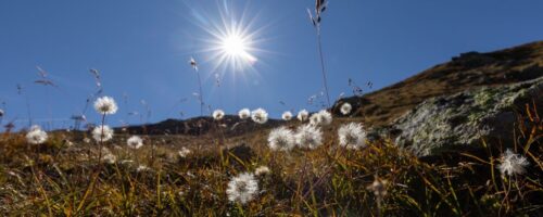 Ob Zeit mit den Enkeln oder allein, ob aktiv oder genussvoll – in Serfaus-Fiss-Ladis genießen Best Ager den Herbst. © Serfaus-Fiss-Ladis Marketing GmbH, Andreas Kirschner