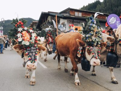 Herbstzauber in Zell-Gerlos in der Zillertal Arena